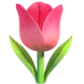 🌷 Tulip Apple