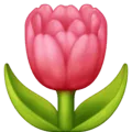 🌷 Tulip Facebook
