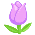 🌷 Tulip Messenger