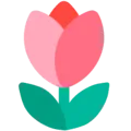 🌷 Tulip Mozilla