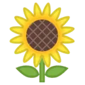 🌻 Bunga Matahari Google