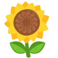 🌻 Bunga Matahari Messenger