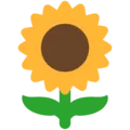 🌻 Bunga Matahari Mozilla