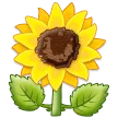 🌻 Bunga Matahari Samsung