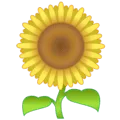 🌻 Bunga Matahari