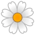 🌼 Mekar Google