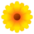 🌼 Mekar