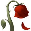 🥀 Bunga Layu Apple