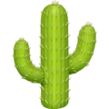 🌵 Kaktus Facebook