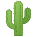 🌵 Kaktus Google