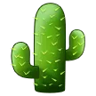 🌵 Kaktus Samsung
