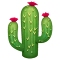🌵 Kaktus WhatsApp