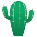 🌵 Kaktus
