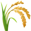🌾 Seikat Padi Apple