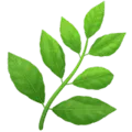 🌿 Rempah Apple