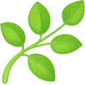 🌿 Rempah Facebook