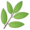 🌿 Rempah Google