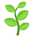 🌿 Rempah Messenger