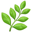 🌿 Rempah Samsung