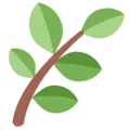 🌿 Rempah Twitter