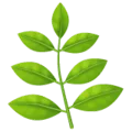 🌿 Rempah WhatsApp