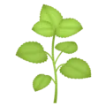 🌿 Rempah