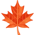 🍁 Daun Maple Facebook