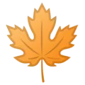 🍁 Daun Maple Google
