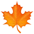 🍁 Daun Maple WhatsApp