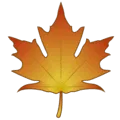 🍁 Daun Maple