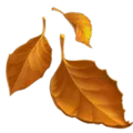 🍂 Daun Gugur Apple