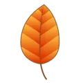 🍂 Daun Gugur