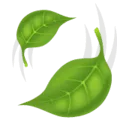 🍃 Daun Tertiup Angin WhatsApp