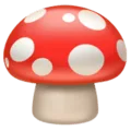 🍄 Jamur Apple