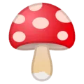 🍄 Jamur Google