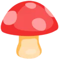🍄 Jamur Messenger