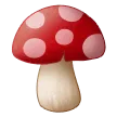 🍄 Jamur Samsung