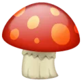 🍄 Jamur WhatsApp