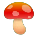 🍄 Jamur