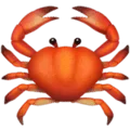 🦀 Kepiting Apple
