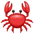 🦀 Kepiting WhatsApp