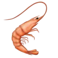 🦐 Udang Emojipedia