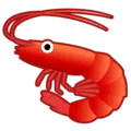 🦐 Udang Google