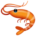 🦐 Udang WhatsApp