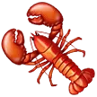 🦞 Lobster Samsung