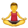 🧘‍♂️ Pria dalam Posisi Lotus Emojipedia