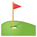 ⛳ Bendera di Lubang Google