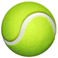 🎾 Tenis WhatsApp