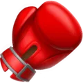 🥊 Sarung Tinju Facebook