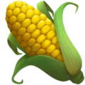 🌽 Bonggol Jagung Apple